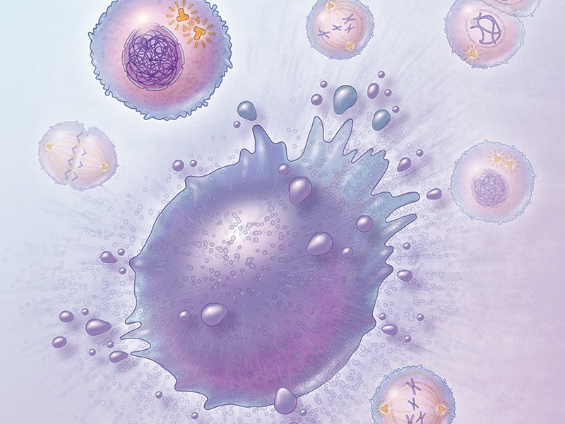 Illustration showing multiple cells and their constituent parts. Illustration showing multiple cells and their constituent parts.