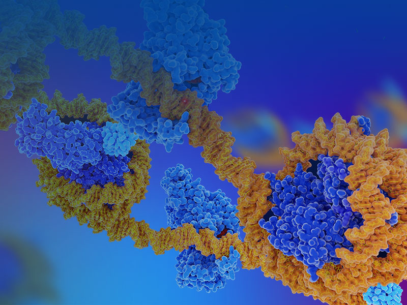 Atac-Seq